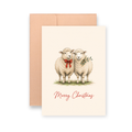 Baa Humbug